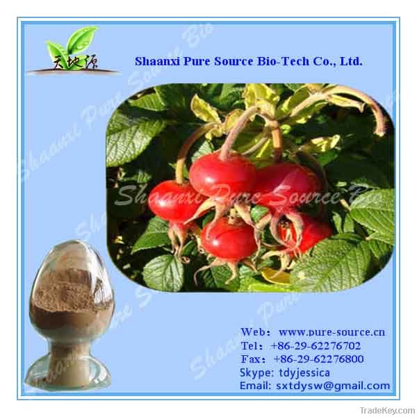 Rose Hips Fruit Extract
