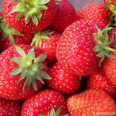 Product Name:Strawberry Extract
