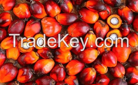 Crude palm oil