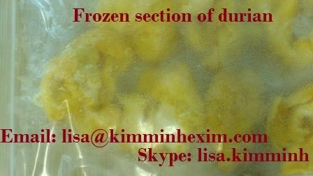 FROZEN SECTION OF DURIAN