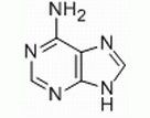 Adenine CAS No: 73-24-5 