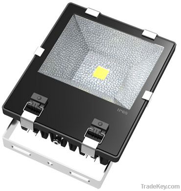 100W LED Flood light