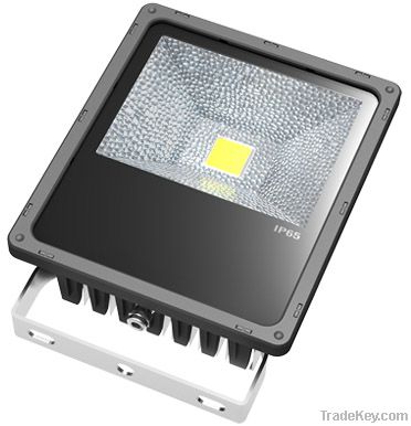 50W LED Flood light