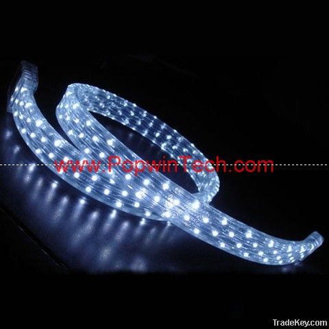 LED Rope Light, LED Decorative Lighting