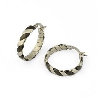 2013charming Jewelry of Stainless Steel Earring for Women (EQ8021)