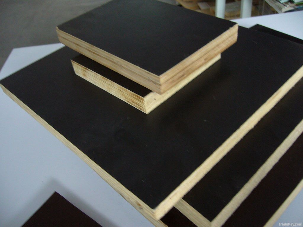 18mm Black Film Plywood , WBP glue .poplar core .Sanding both