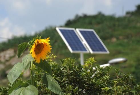 LED solar street light