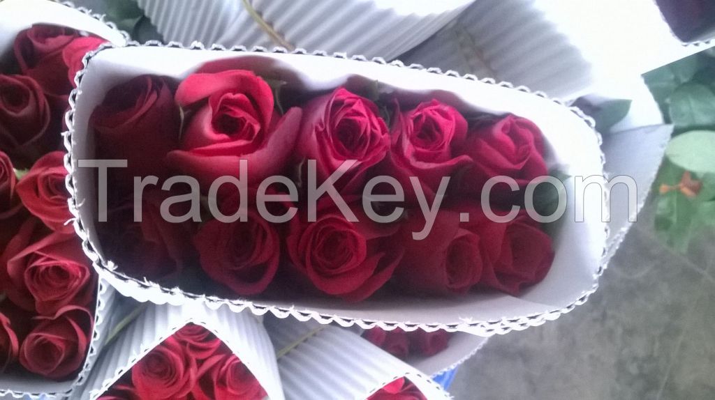 Rose, carnation, Gerbera, Gladioli, Tuberose , Lilium
