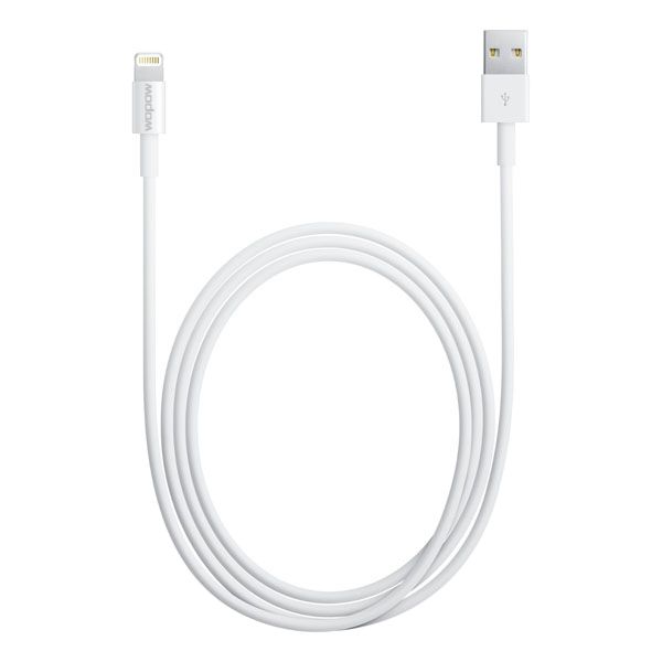 Mobile lightning cable