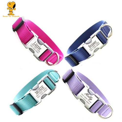 Dog Collars with Personalized Metal Buckles