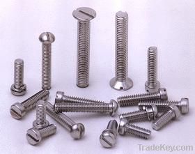 SS Screws