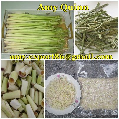 Lemon Grass from Vietnam