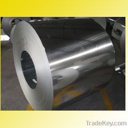 steel sheet  ppgi  prepainted galvanized steel coil