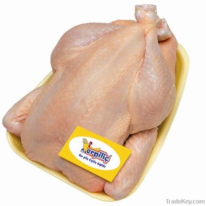 Frozen halal whole chicken