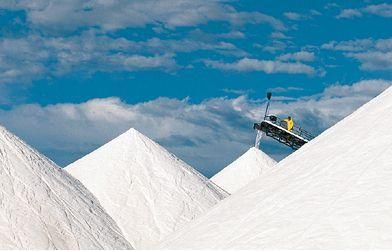 salt for export