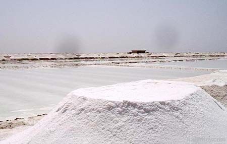 salt for export