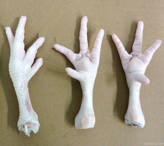 chicken feet and paw FROM NATURALLY GROWN CHICKEN
