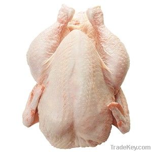 Export Whole Chicken Meat | Chicken Meat Suppliers | Poultry Meat Exporters | Chicken Pieces Traders | Processed Chicken Meat Buyers | Frozen Poultry Meat Wholesalers | Halal Chicken | Low Price Freeze Chicken Wings | Best Buy Chicken Parts | Buy Chicken