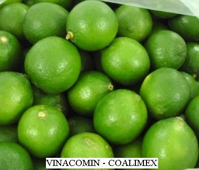 Fresh Limes Lemons 