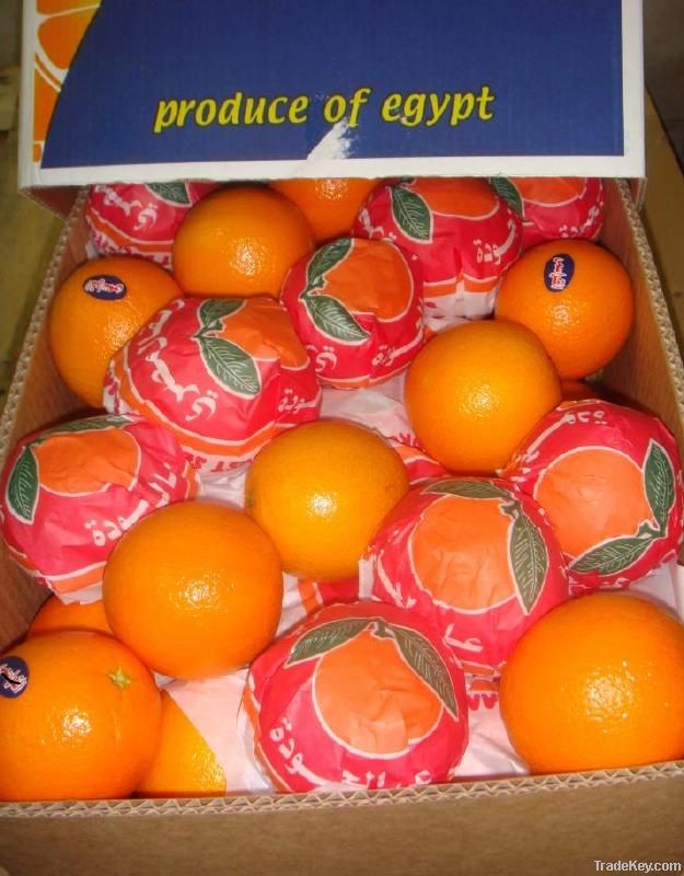 EGYPT FRESH ORANGES