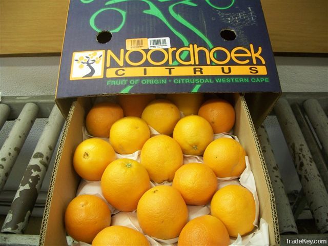 SOUTH AFRICA FRESH ORANGES - LEMON