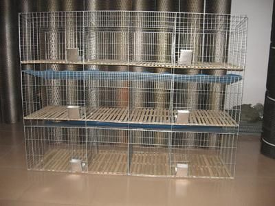 Breeding Rabbit hutch