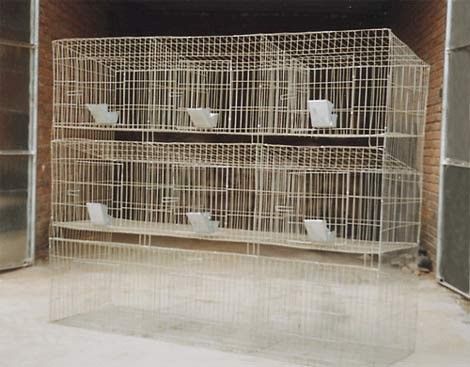 Commodity /Fattening Rabbit Cage