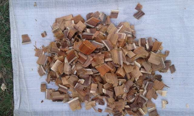 Eucalyptus or Acacia wood chip