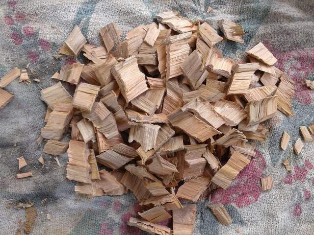 Eucalyptus or Acacia wood chip