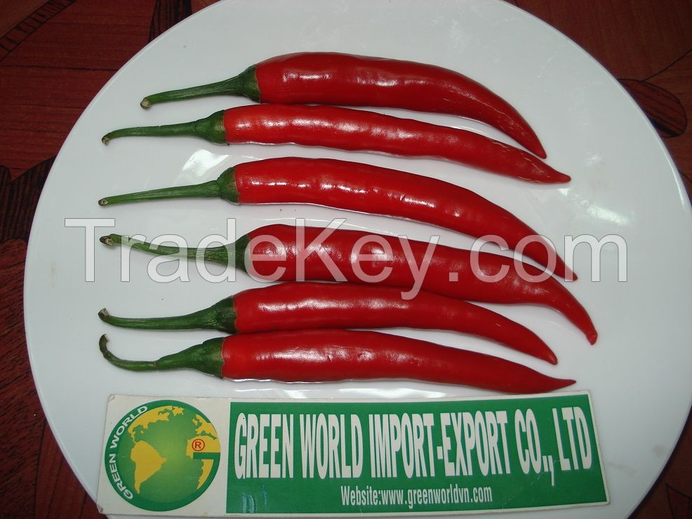 Frozen Chilli, Dried Chilli with premium quality origin Vietnam