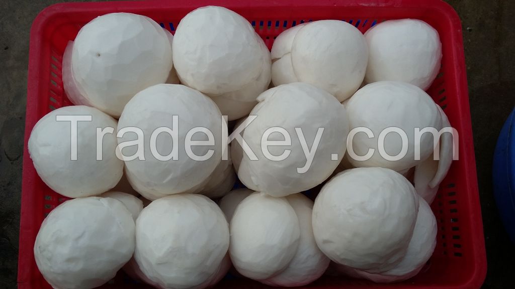 FROZEN COCONUT MEAT WITH BEST QUALITY