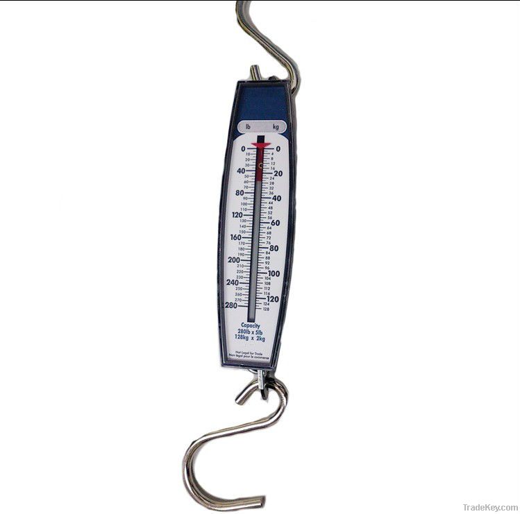 New design hanging scale