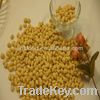 Blanched peanut kernel