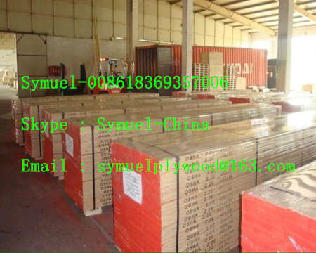 Deigned Cheap Furniture / Packing Grade LVL / LVB Commercial Plywood Sheet