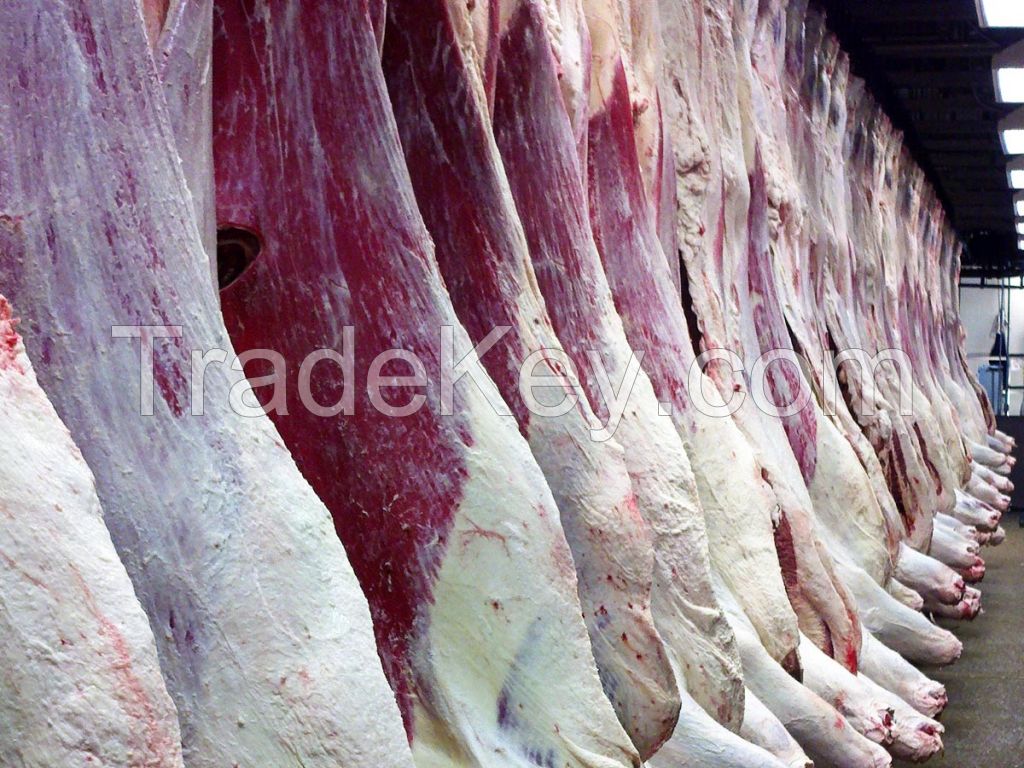 Halal Buffalo Meat
