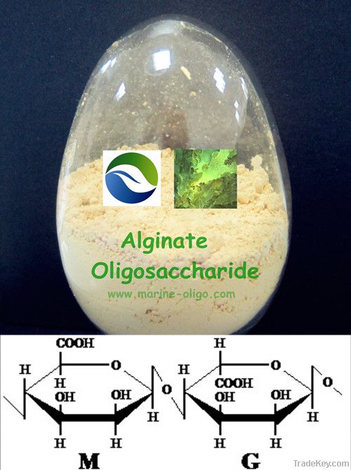 alginate oligosaccharide