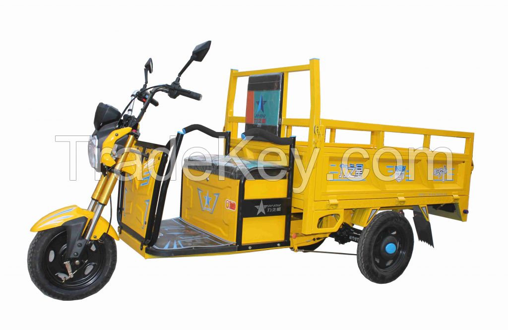 48V800W Electric Cargo Tricycle 