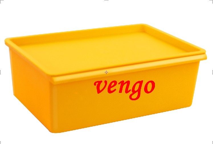 Plastic storage box with lid