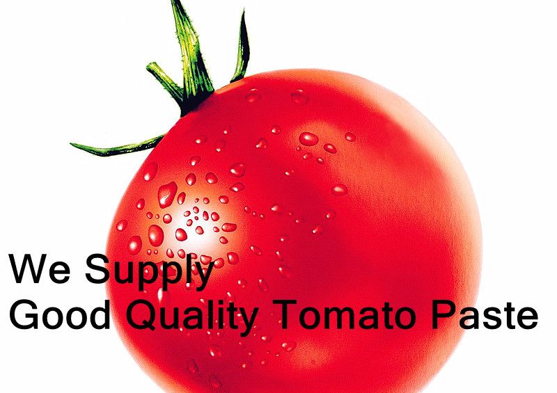 Aseptic Tomato Paset 36-38% brix cold break 2013 crop