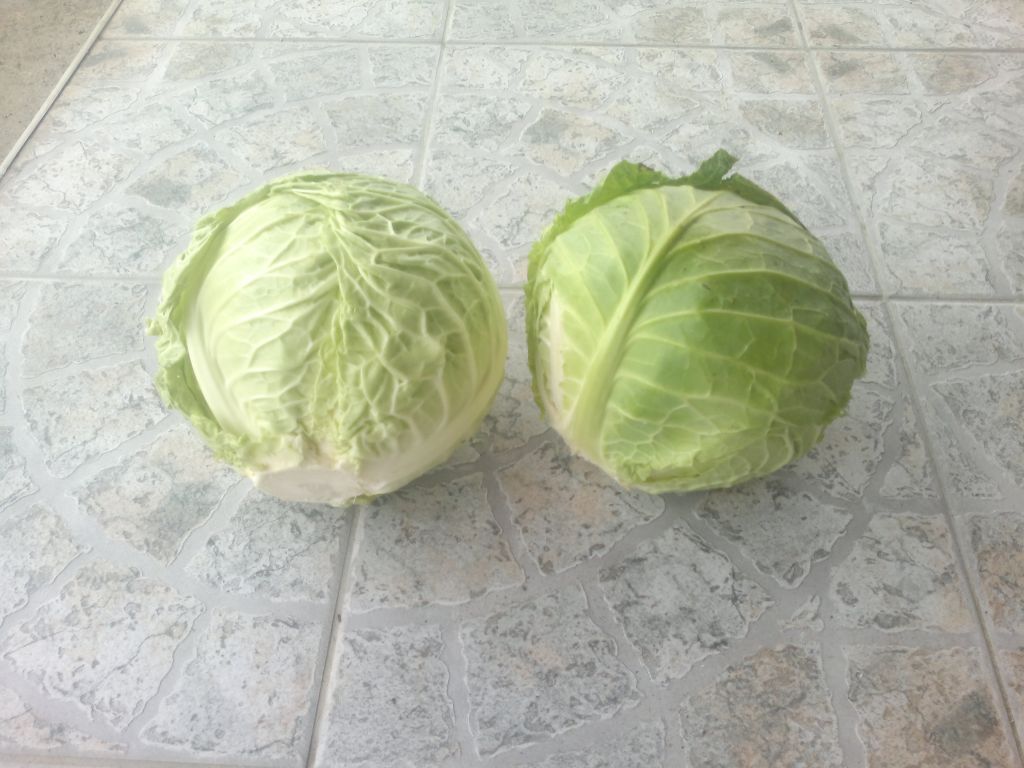 fresh cabbages