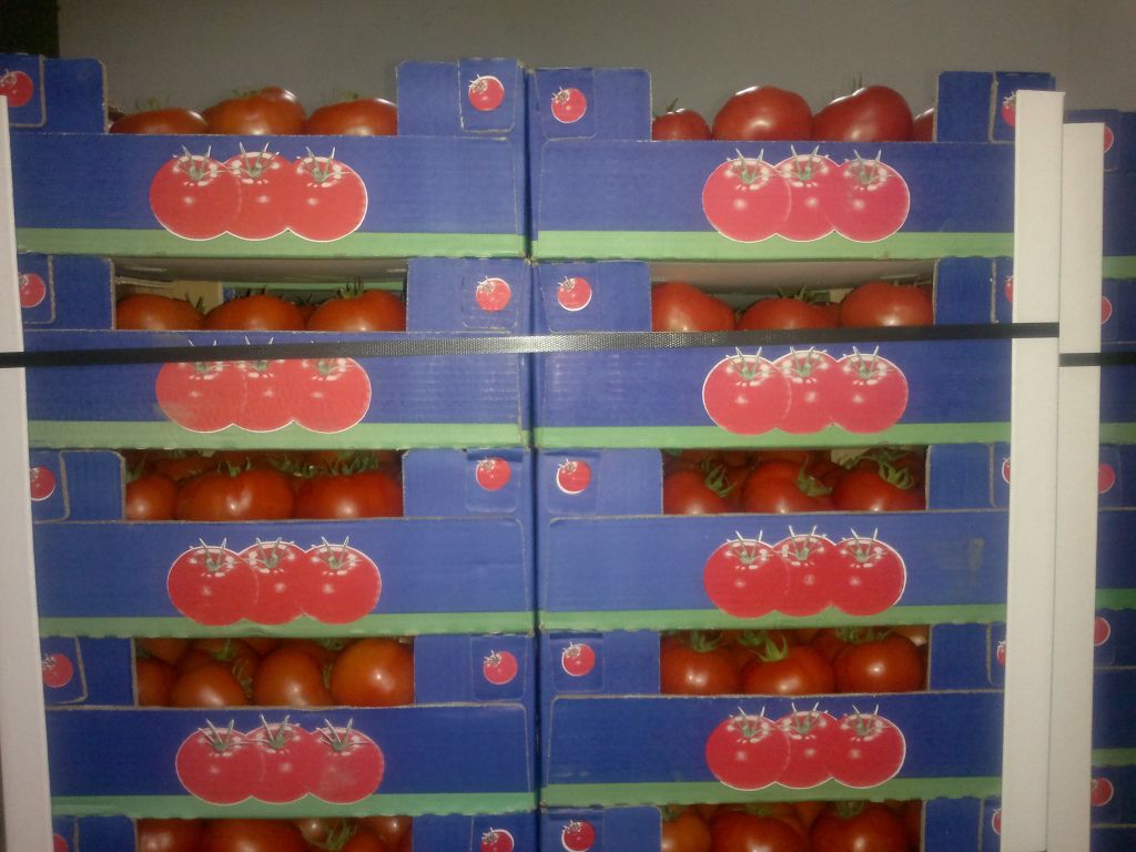 Fresh Tomatoes