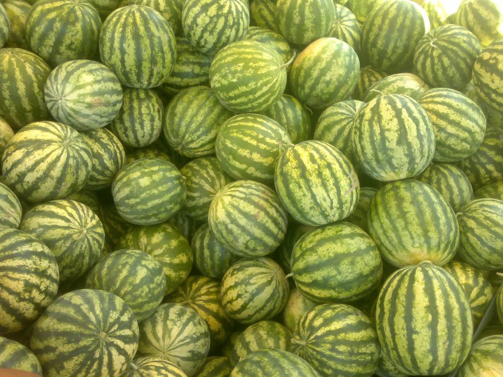 Fresh Watermelon