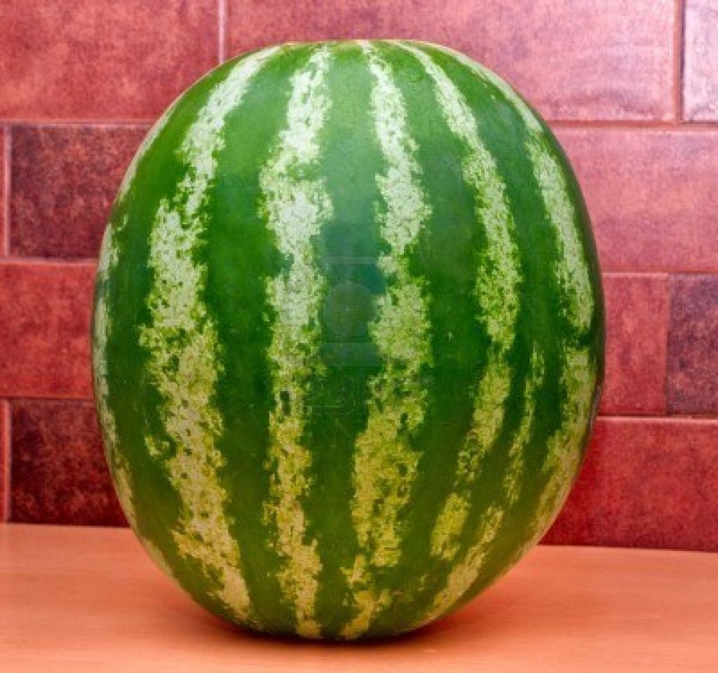 Fresh Watermelon