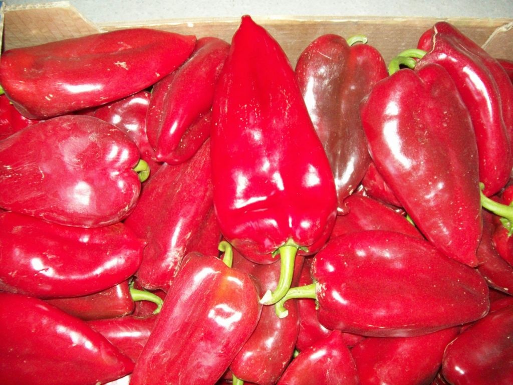 Red and Green Pepper