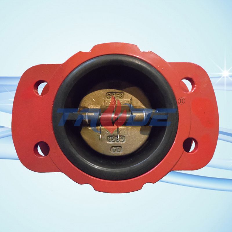 Wafer dual disc check valve