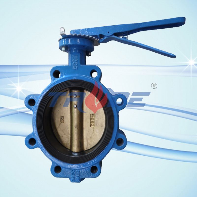 Lug type butterfly valve