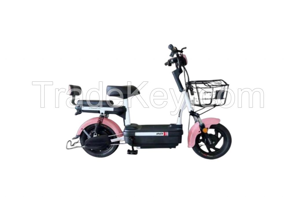 China Standard Electric Bicycle