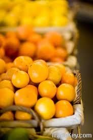 Organic Citrus fruits