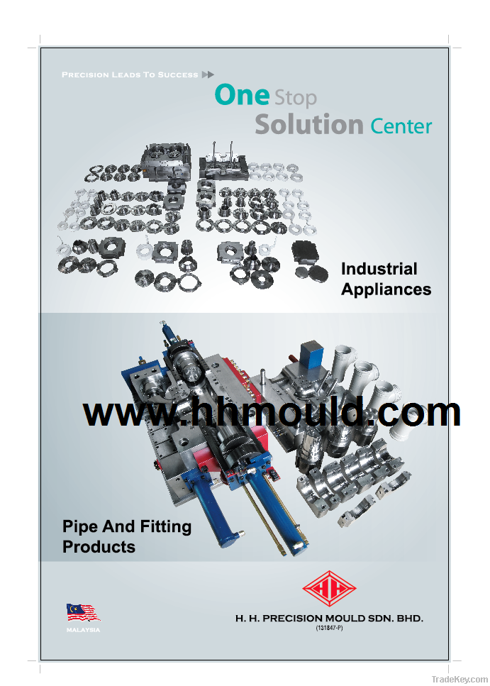 Plastic injection mold with interchangible inserts -Malaysia Tool and