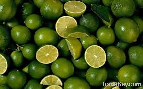 Fresh Lime & Lemon